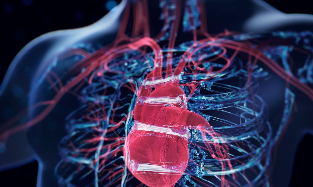 Novo Holdings co-leads $19 million financing of AnaCardio to advance first-in-class drug candidate AC01 for heart failure
